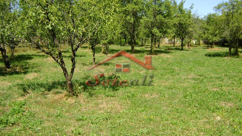 Teren  de vanzare Cornu 1919 mp - Poză 1