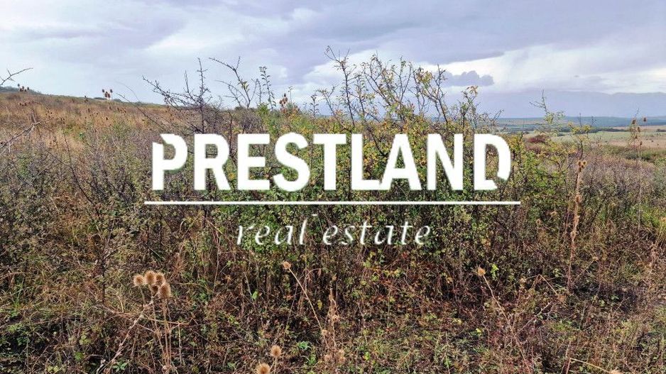 Teren extravilan, pretabil  construcție case/sediu logistic. - Poză 3