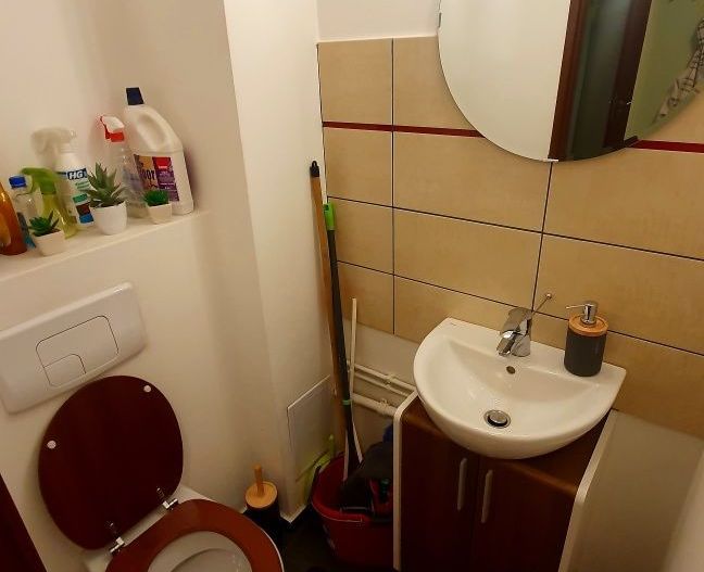 Apartament cu 3 camere Torontalului - Poză 8