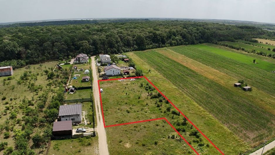 DOMNESTI-TEGHES, TEREN 1.150 MP! - Poză 7