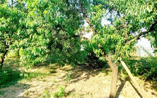 Oferim spre vanzare casa, 6 camere, 162mp utili, 809mp teren, in Giroc - Poză 10