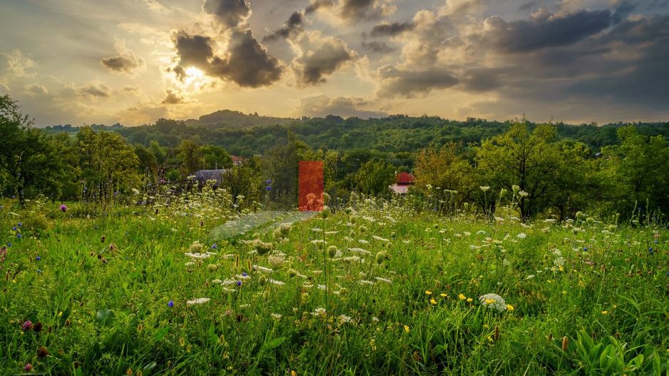 Teren intravilan Boteni Arges - Poză 7