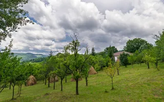 Casa moderna si casa bunicii + 6300 mp teren,Oaza autentica in Corbi Arges- - Poză 17