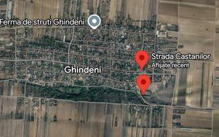 Teren de vanzare in Ghindeni/Dolj - Poză 3