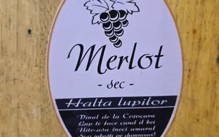 Vie Tradițională „Halta Lupilor” - Poză 18