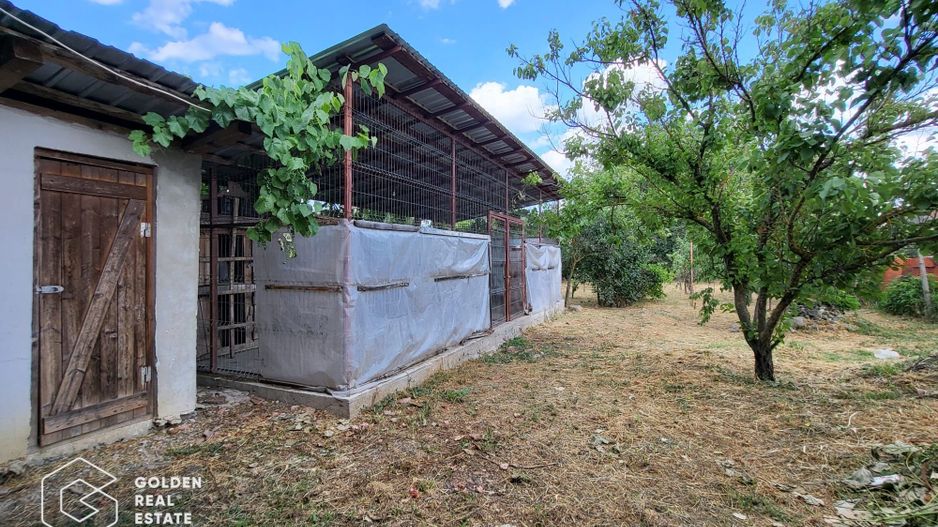 Casa P+M, sat Neudorf - Poză 25