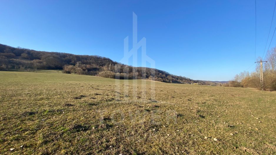 Teren de 7.500 mp de vânzare în Bradu, Avrig-COMISION 0% – lângă râul Olt. - Poză 4