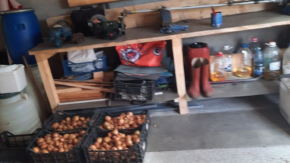 Casa Parter+Pod 90 mp+anexa 60 mp + atelier + teren intravilan 1600 mp - Poză 25