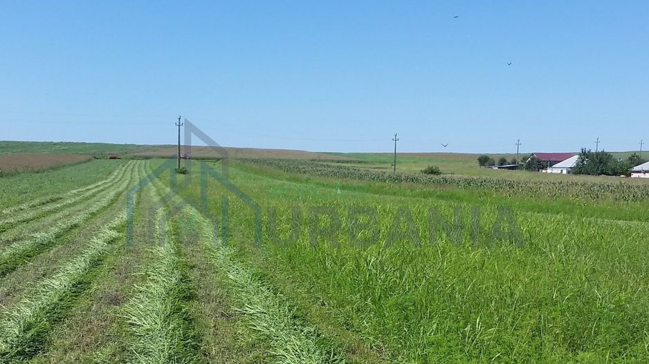 Teren intravilan Holboca 1624mp - Poză 1