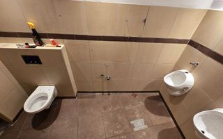 Spatiu comercial de vanzare in Piata Arenei-Boul Rosu - Poză 15