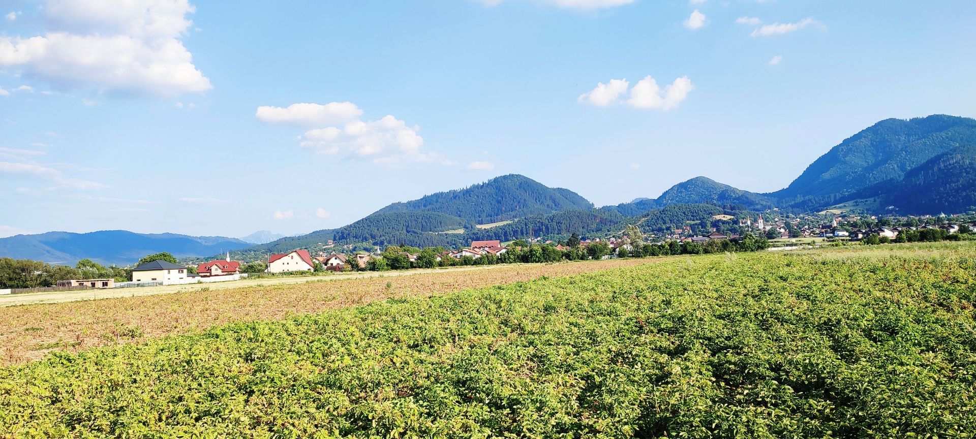 teren intravilan in Sacele-Baciu - Poză 5