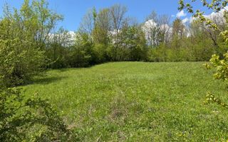 Teren Intravilan  – Provița de Jos | 1.939 mp | Curent electric - Poză 5