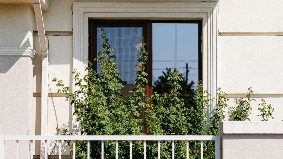 Oferta Vanduta -Casa Segmentul Lux, Garaj | 4 dormitoare | Langa Padure&Lac - Poză 40