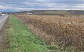 Teren intravilan 3800 mp, zona Santandrei - Poză 5