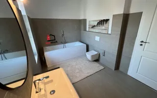 Vila superba Dumbravita - Poză 24