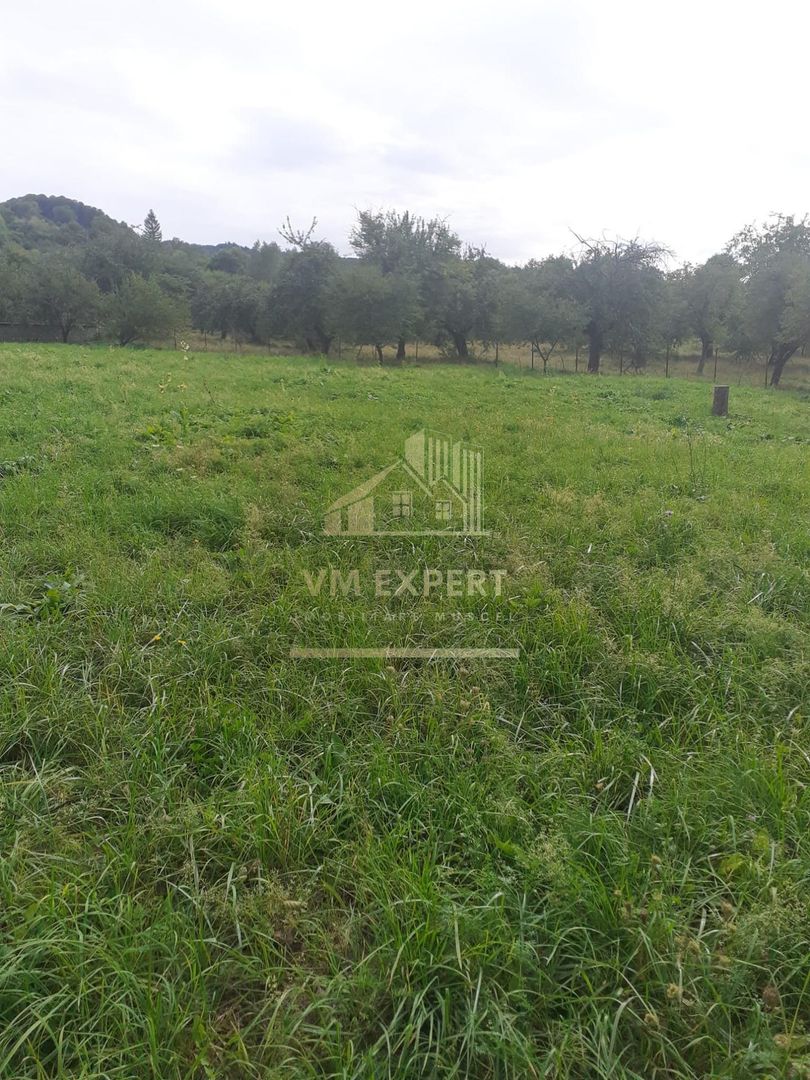 TEREN INTRAVILAN 3698 MP, CAMPULUNG, ARGES - Poză 5