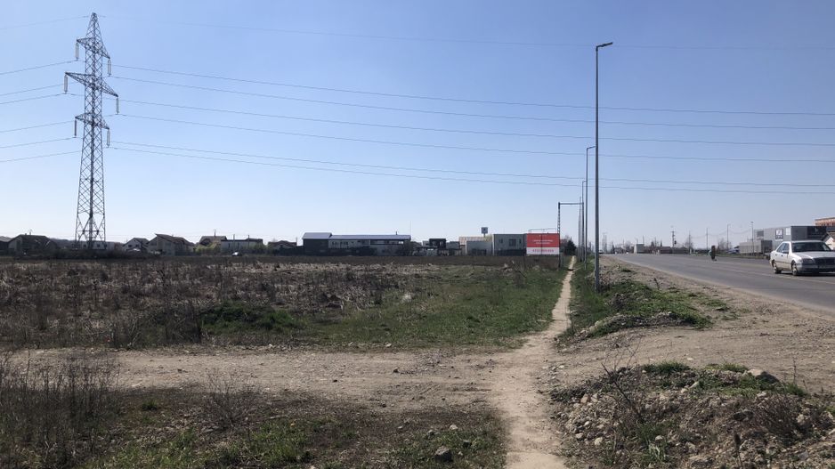 Teren Dumbravita-de închiriat - Poză 2