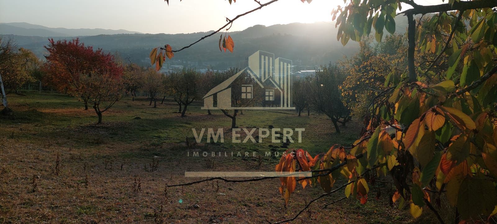 TEREN INTRAVILAN 10385 MP, MARCUS, CAMPULUNG - Poză 3