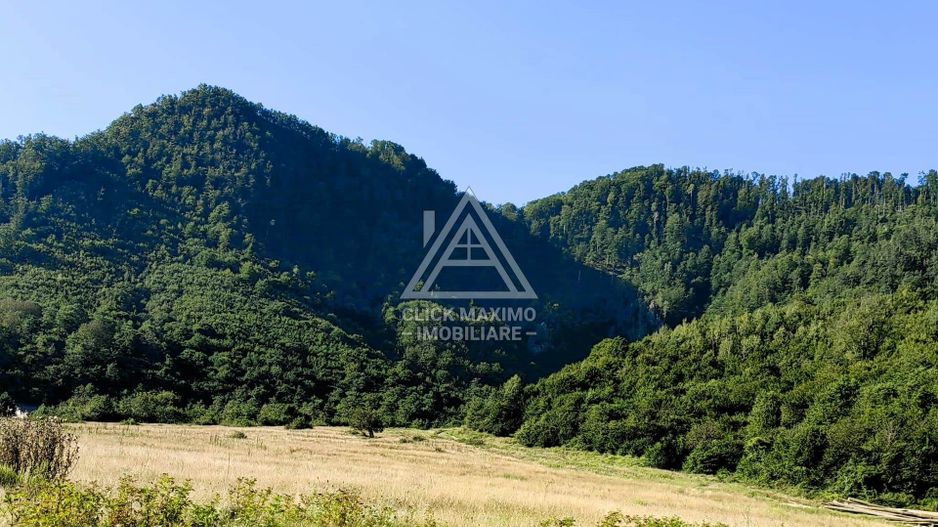 240 Hectare Pădure Valea Oltului Resurse Naturale Potențial Turistic - Poză 3