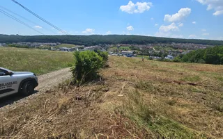 Teren intravilan 16.500mp 55euro mp deschidere de 82m la E60 - Poză 12