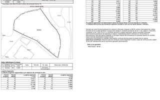 Oportunitate Investitie Teren Dambu Morii | Necesar PUD | Utilitati | 4.800mp - Poză 11