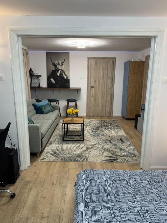 Apartament confortabil cu doua camere, Cismigiu- Casa Radio - Poză 4