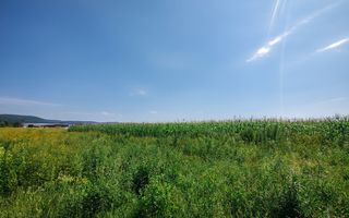 Teren Centura Radauti | 25 Ari | 12 m Front - Poză 3