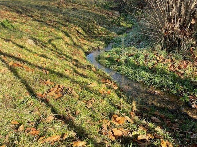 Teren 3349 mp de Vânzare | Bran – Panoramă Munții Bucegi - Poză 8