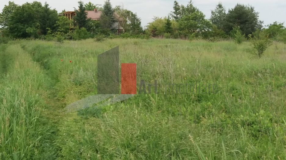 Teren Buftea cu iesire la lac - Poză 18