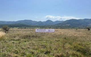 Teren extravilan | 7.800 mp | Saliste - Poză 1