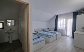 Casă-Pensiune Agroturistica spatioasa P+M Budeasa cu vedere la lac - Poză 18