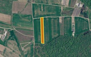 Teren 10.000 mp în Ciolpani | Deschidere la șosea | Pădurea Snagov - Poză 2