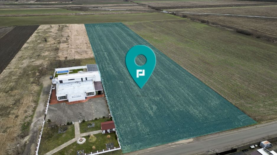 Teren 20.000 mp Vladimirescu - Poză 1