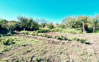 Oferim spre vanzare, Casa cu 5 camere, teren 1500 mp, Beregsau Mare 0% Comision - Poză 6