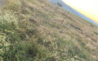 2 Parcele de vanzare in Oarda - Poză 4