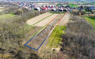 Casa de vanzare in Borlesti, Pomi | 37 ari teren | Comision 0% - Poză 20