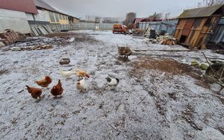 Casa 5 Camere, 143 mp + Anexa 65 m, Teren 1061 mp, Centru - Poză 4