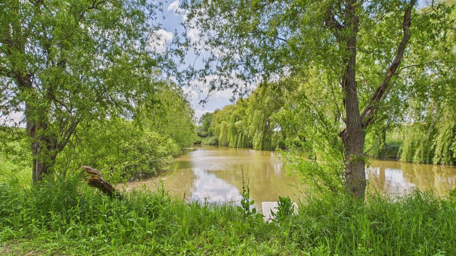 Teren cu baltă- oportunități multiple la Fibiș - Poză 4