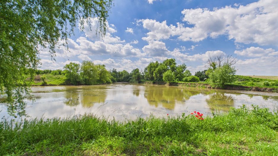 Teren cu baltă- oportunități multiple la Fibiș - Poză 29