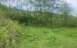 Teren Intravilan | Câmpulung Moldovenesc | 31ARI - Poză 10