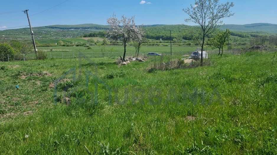 Teren de 1000 mp în Comuna Ciurea, Iași – Oportunitate de Investiție - Poză 4