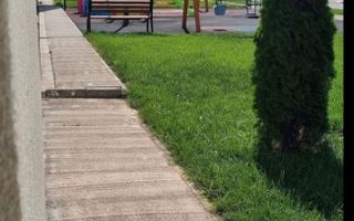 Apartament 2 camere de inchiriat Drumul Taberei 500  EURO - Poză 6