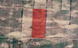 Sapient | Teren agricol _ loc. Desa, jud. Dolj - Poză 2