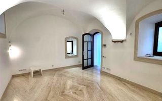 Casa monument istoric spectaculoasa de inchiriat,  Gruia - Poză 9