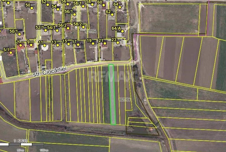 TEREN PENTRU GRĂDINI – 12 ARI | FLORENI, ANENII NOI - Poză 2