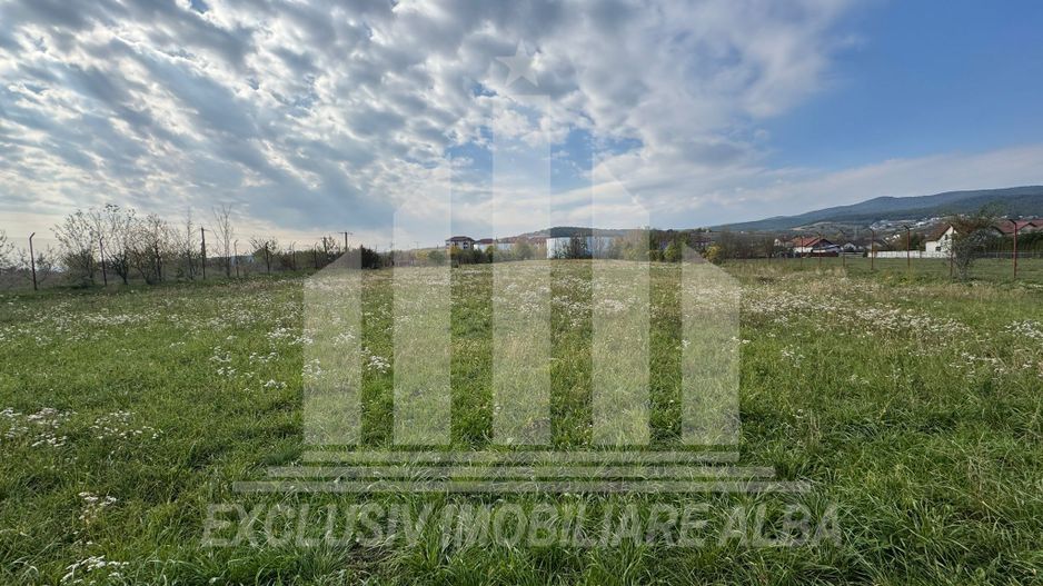 Teren intravilan de vanzare, Cetate - Poză 4