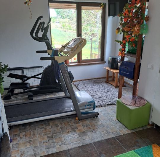 Proprietate de excepție în Lelești – la doar 8 km de Târgu Jiu - Poză 10