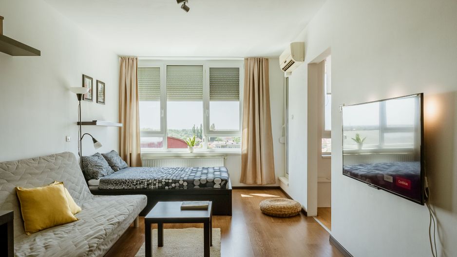 Apartament cu o cameră zona Romanilor - Poză 1