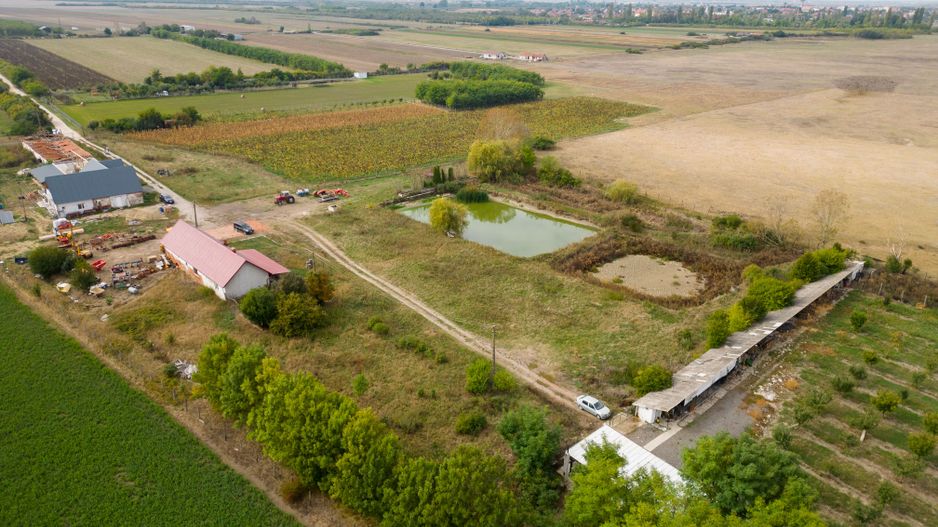 Teren intravilan cu iazuri și casă - Chișineu-Criș - Poză 23