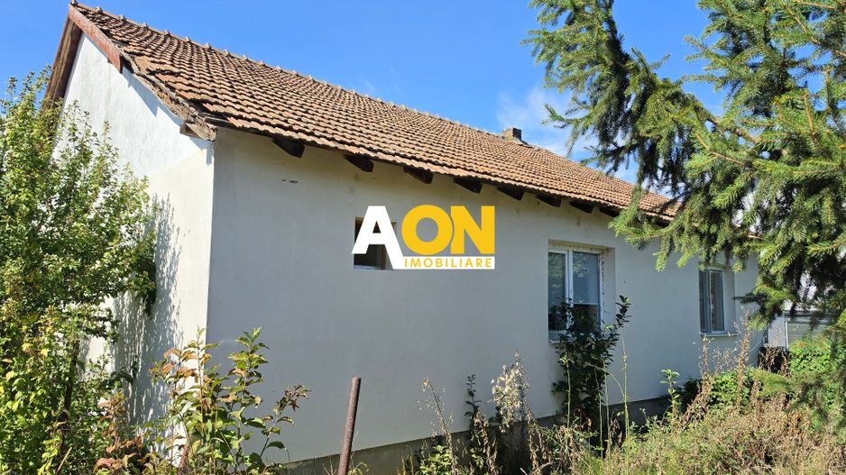 Casa individuala 3 camere, 323 mp teren,  Centru, zona Lipoveni - Poză 2